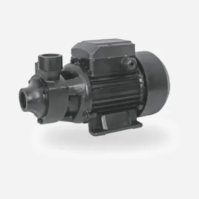 REEOFLO EQB Series Brushless DC Motor Solar Vortex Pump