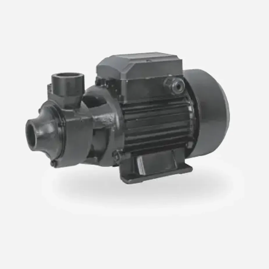 REEOFLO EQB Series Brushless DC Motor Solar Vortex Pump