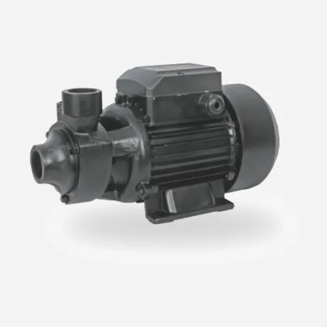 REEOFLO ADQB Series AC/DC Hybrid Brushless Motor Solar Vortex Pump