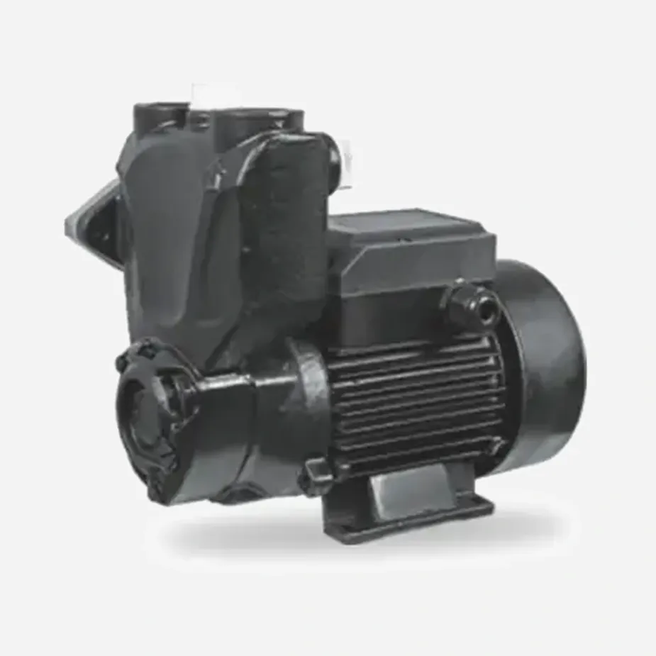 REEOFLO EZB Series DC Brushless Motor Solar Self-Priming Pump